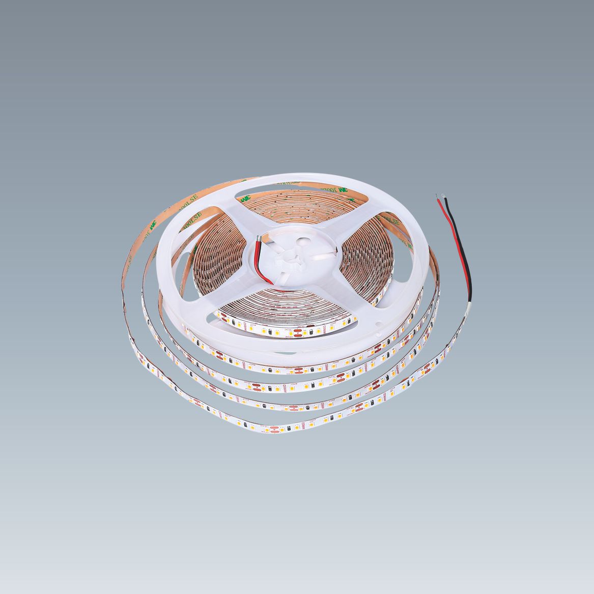 Dây LED Dán 24V - 12W/m